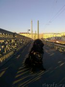 Превью фото № 139540