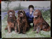 Превью фото № 139544