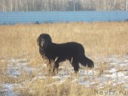 Превью фото № 139546