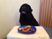 Превью фото № 139615