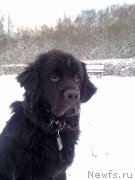 Превью фото № 139628