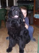 Превью фото № 139633