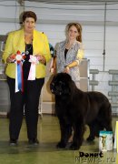 Превью фото № 139647