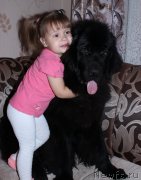 Превью фото № 139685