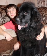 Превью фото № 139688