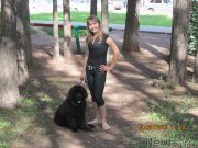 Превью фото № 139691