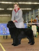 Превью фото № 139732