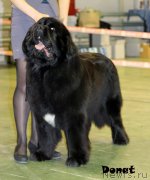 Превью фото № 139734