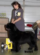 Превью фото № 139735