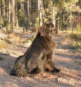 Превью фото № 139756