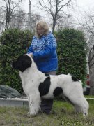 Превью фото № 139793