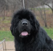 Превью фото № 139806