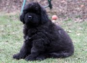 Превью фото № 139845