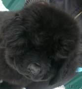 Превью фото № 139870