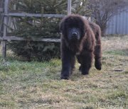 Превью фото № 139871