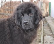 Превью фото № 139873