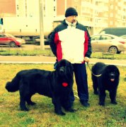 Превью фото № 139879