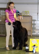 Превью фото № 139896