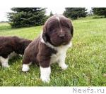 Превью фото № 13991