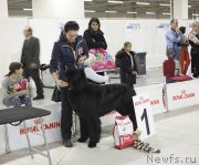 Превью фото № 139916