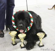 Превью фото № 139917