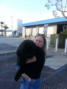 Превью фото № 139920