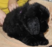 Превью фото № 139938