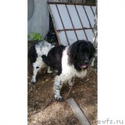 Превью фото № 139991