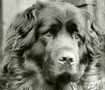 Превью фото № 1400