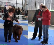 Превью фото № 140003