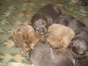 Превью фото № 140130