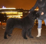 Превью фото № 140133