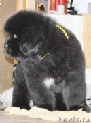 Превью фото № 140165