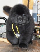 Превью фото № 140168