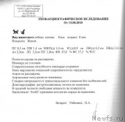 Превью фото № 140199