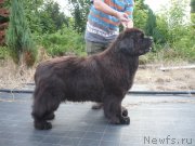 Превью фото № 140229