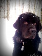 Превью фото № 140340