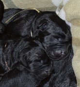 Превью фото № 140368