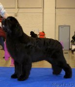 Превью фото № 140465