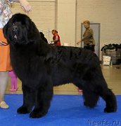 Превью фото № 140466