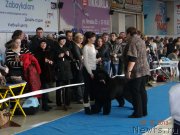 Превью фото № 140477