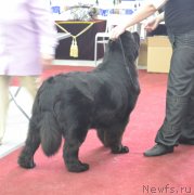 Превью фото № 140524