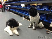 Превью фото № 140605