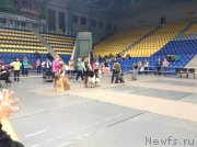 Превью фото № 140607