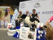 Превью фото № 140608