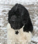 Превью фото № 140626