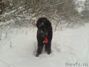 Превью фото № 140692