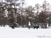 Превью фото № 140732