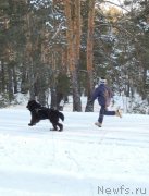 Превью фото № 140736