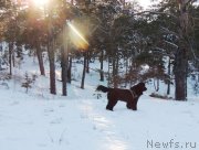 Превью фото № 140737